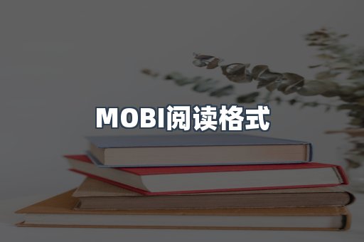 MOBI阅读格式